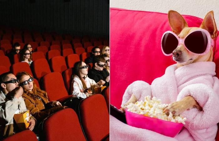 ¡Un cine abre sus puertas a los perros en París en diciembre!