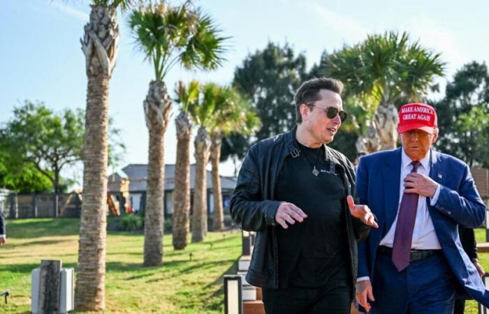 Cómo utilizará Elon Musk la IA para “desgrasar al mamut americano”