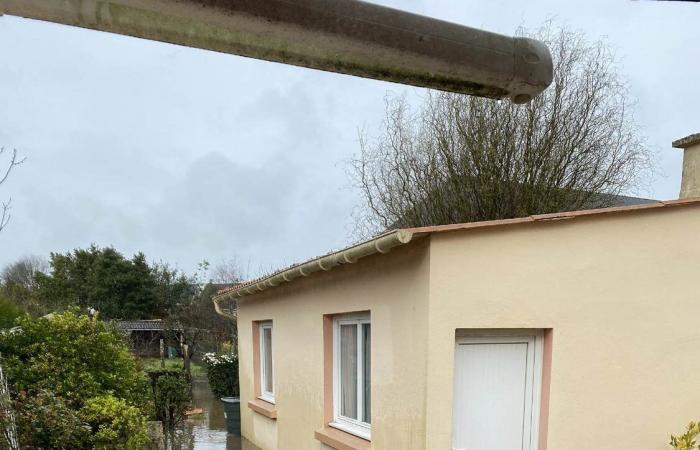 Un colectivo de Nantes contra un proyecto de construcción en una zona inundable