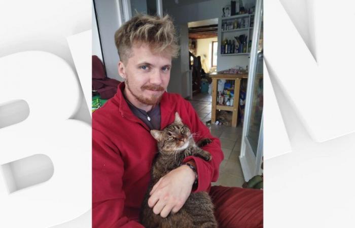 En Briançonnais, un hombre encuentra a su gato un año después de haberlo perdido