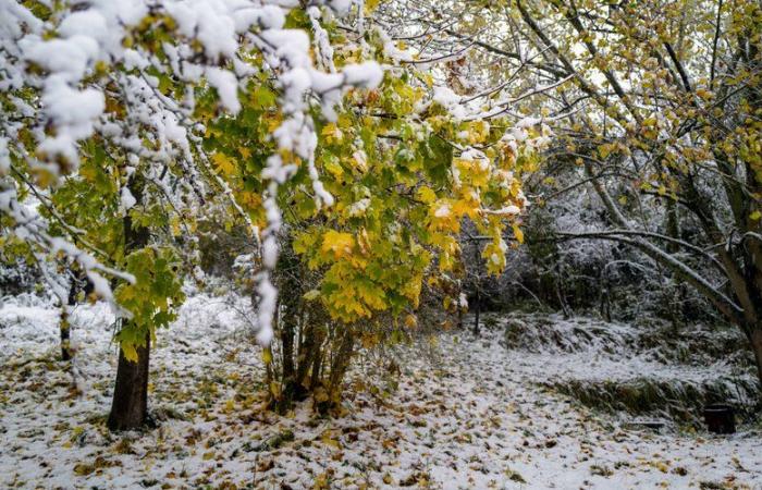 Tormenta Caetano: camioneros atrapados en la autopista, trenes cancelados, autobuses escolares suspendidos… la tormenta provocó el caos, Météo-France advierte de un riesgo “muy claro” de nueva congelación