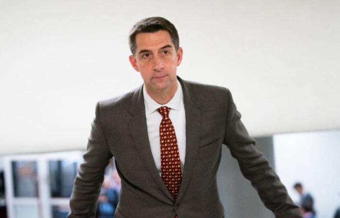 No creerás lo que acaba de sugerir Tom Cotton