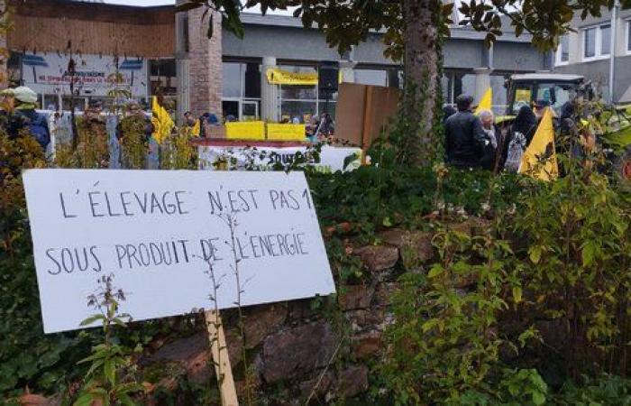 En Corrèze, el agrivoltaismo se dispara