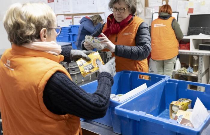 El Banco de Alimentos de París y de Île-de-France organiza su colecta anual