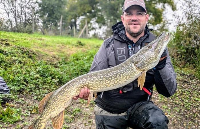 Otoño, época ideal para rastrear peces depredadores