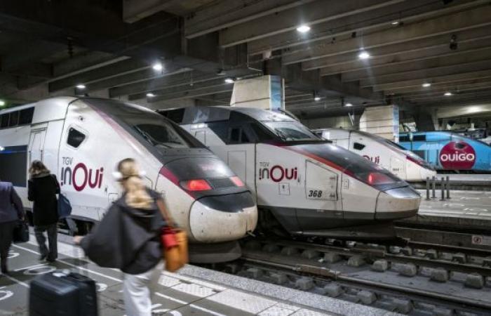 “No volver a casa durante las vacaciones es una mierda”: atrapados por el precio de los trenes, estos estudiantes se preparan para pasar la Navidad solos