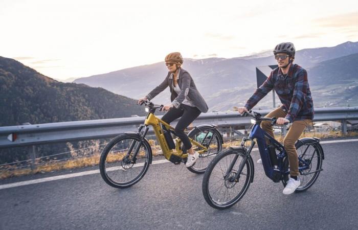 Cierre de una nueva fábrica de bicicletas en Europa, esta vez en Suiza con Flyer