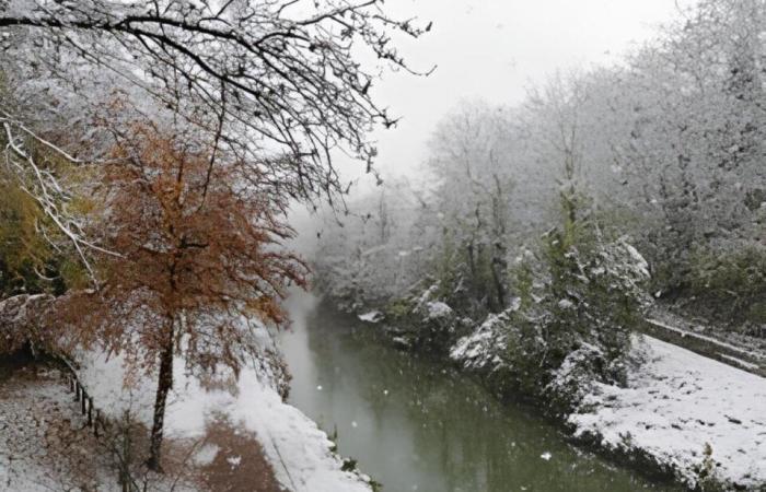 EN FOTOS. De Meaux a Disneyland París, las fotos más bellas de la nieve en Sena y Marne