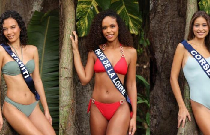 Descubre las fotos de las 30 candidatas en bañador