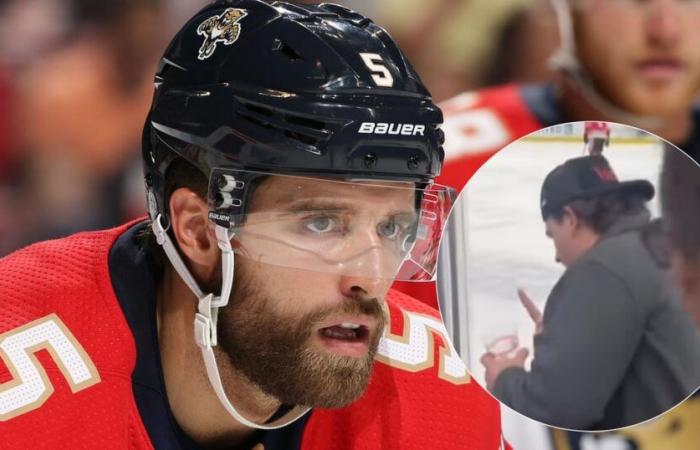 Aaron Ekblad pierde la calma y ataca a un seguidor que lo insultó