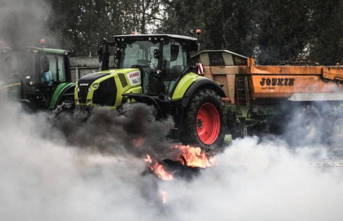 Tras los anuncios del gobierno, la coordinación rural anuncia el levantamiento del bloqueo del puerto de Burdeos – Libération