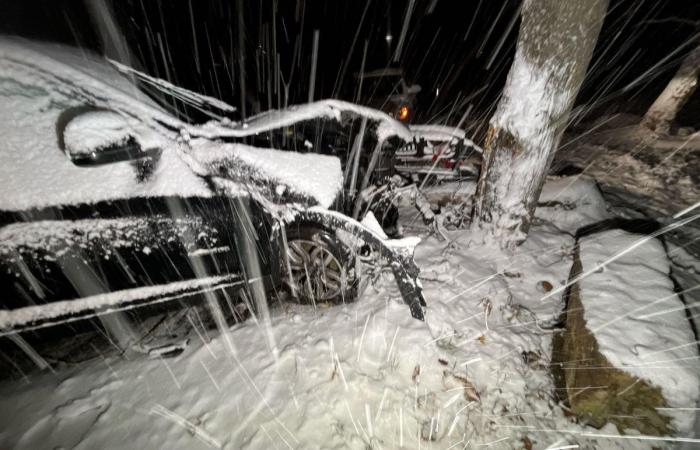 Basilea: Las nevadas provocan interrupciones en el tráfico en el BVB