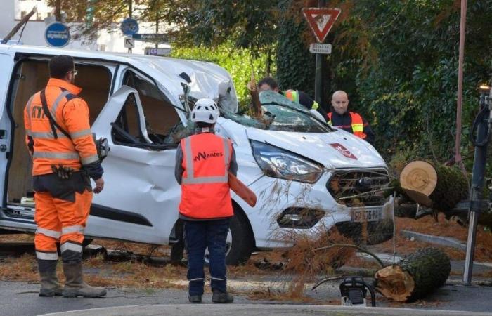 Tormenta Caétano: actualización de la situación este viernes por la mañana en Loira Atlántico y Vendée