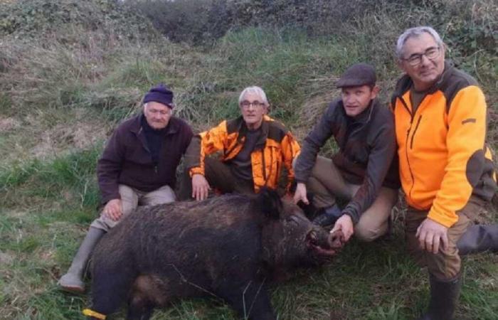 Charente-Maritime: los cazadores que mataron un jabalí récord de 205 kg nos cuentan su historia