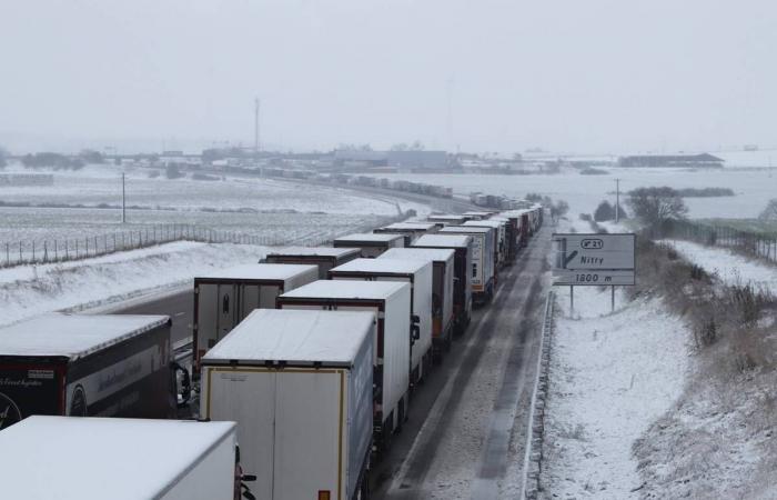 Heladas matinales, cortes de electricidad, transporte público: hacemos balance del episodio de nieve que afectó al Yonne