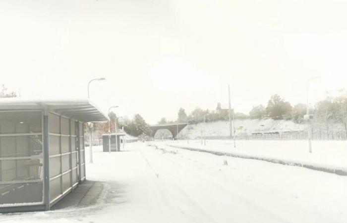 trenes parados y pasajeros evacuados