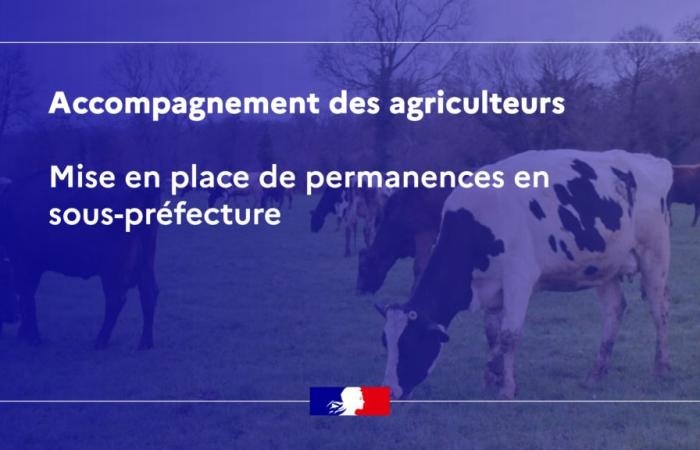 Apoyo a los agricultores: creación de oficinas en las prefecturas y subprefecturas – Agricultores en dificultades – Vida agrícola – Agricultura, silvicultura y desarrollo rural – Acciones estatales