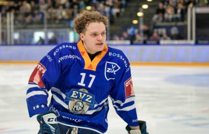 Hockey: Fribourg-Gottéron contrata a Attilio Biasca y Ludvig Johnson