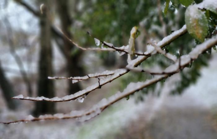 ¿Después de la nieve, el hielo?