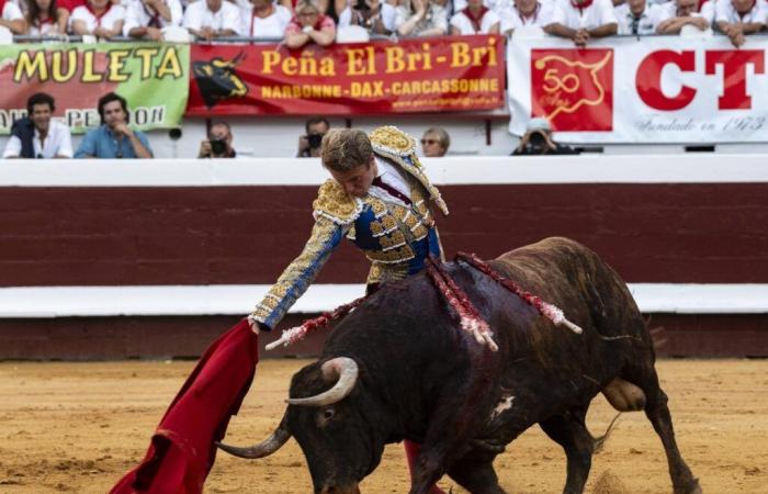 ¿Quiénes son los nominados al Brindis d’or?