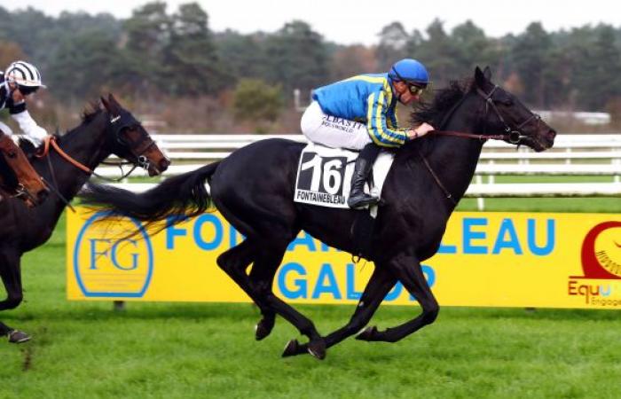 Fontainebleau: Premio Seine-et-Marne, GANASS domina a sus mayores en el Quinté del día