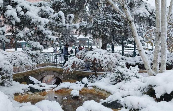 EN FOTOS. De Meaux a Disneyland París, las fotos más bellas de la nieve en Sena y Marne