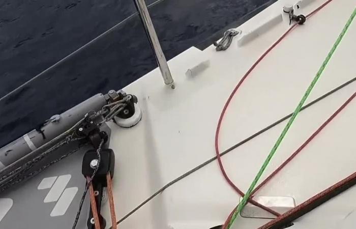 Comprometidos en la Vendée Globe, impresionan, siempre al acecho, las mujeres no se rinden