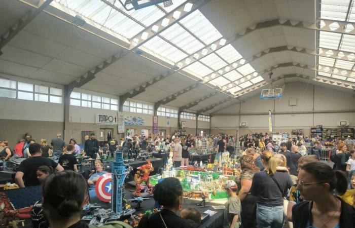 1.000 m2 de Lego® para descubrir durante una exposición cerca de Beauvais durante todo el fin de semana