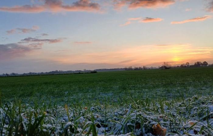 Largos atascos cerca de Arnhem debido al clima invernal, Rijkswaterstaat aconseja evitar la región