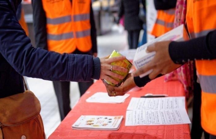 65 puntos de recogida abiertos este fin de semana