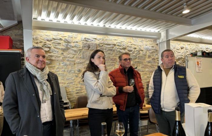 La eurodiputada Chloé Ridel sobre el sector del vino – Noticias