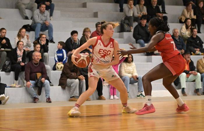 Baloncesto amateur – Copa Occitania femenina: un tentador doble enfrentamiento entre Auch y Gimont en la capital del Gers