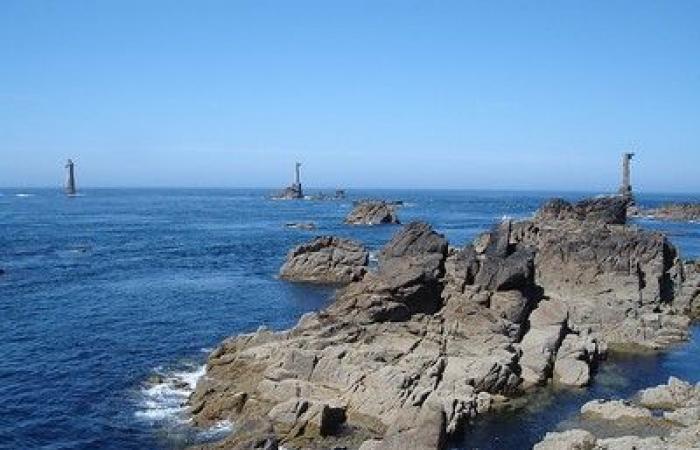 Finistère: una langosta dorada, ejemplar extremadamente raro, capturado en la isla de Ouessant