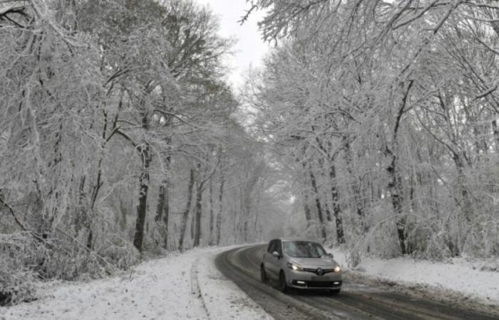 Caetano: 150.000 hogares sin electricidad, cuidado con las nuevas heladas: Noticias