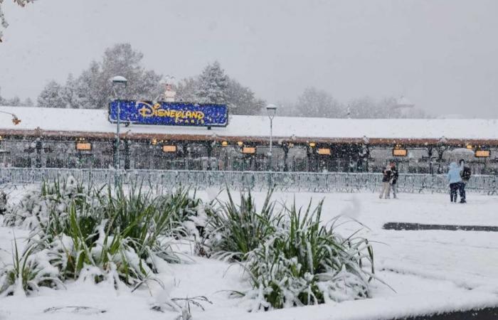 EN FOTOS. De Meaux a Disneyland París, las fotos más bellas de la nieve en Sena y Marne