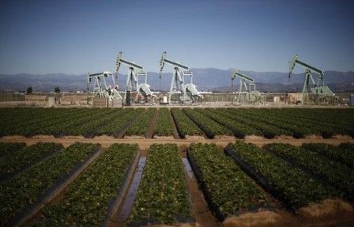 El petróleo cae, el mercado sopesa los riesgos vinculados al conflicto en Ucrania