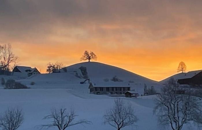 Comienza el invierno en las tierras bajas – Suiza despierta como un paraíso invernal – las imágenes – Noticias