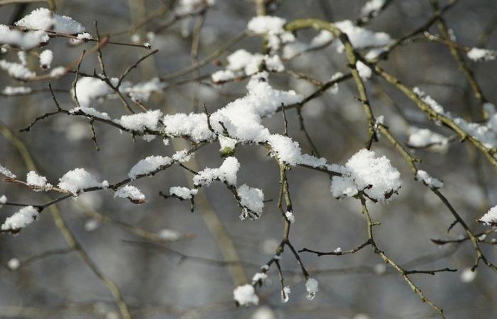 Tormenta Caetano: “Carreteras resbaladizas”, pueden caer algunos centímetros más de nieve… 21 departamentos siguen en alerta naranja