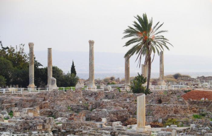 Líbano. Pueblos arrasados ​​y patrimonio amenazado por Israel