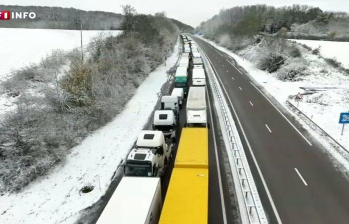 “Estamos a 0 km/h”: miles de vehículos pesados ​​siguen detenidos en la A36