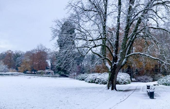 Largos atascos cerca de Arnhem debido al clima invernal, Rijkswaterstaat aconseja evitar la región