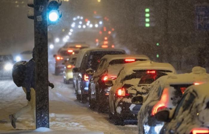 Comienza el invierno en las tierras bajas – Suiza despierta como un paraíso invernal – las imágenes – Noticias