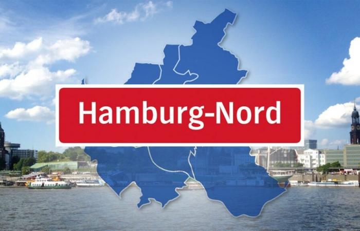 Pero no hay una alianza de cuatro partidos en el distrito Hamburgo-Norte | NDR.de – Noticias