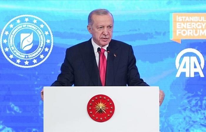 Türkiye aspira al top 3 de Europa en energías renovables para 2025, anuncia Erdogan