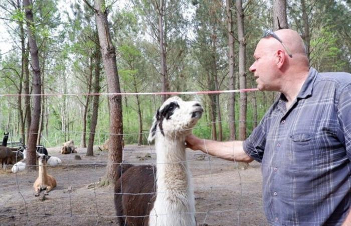 Este parque de animales de Gironda busca voluntarios tras los daños sufridos