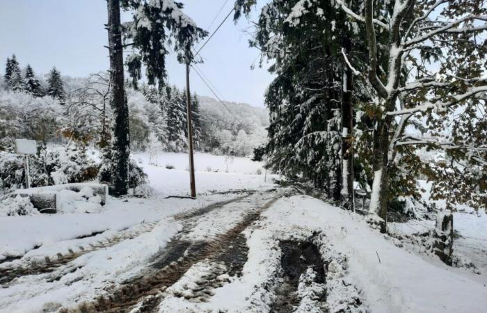 Las condiciones del tráfico siguen siendo delicadas, una treintena de camiones bloqueados en Sourdeval