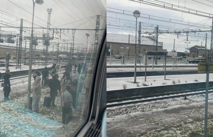 Nieve: un tren parado durante más de 6 horas entre París y Marsella, sus pasajeros obligados a salir de la estación de Lyon