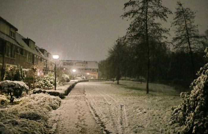 Largos atascos cerca de Arnhem debido al clima invernal, Rijkswaterstaat aconseja evitar la región