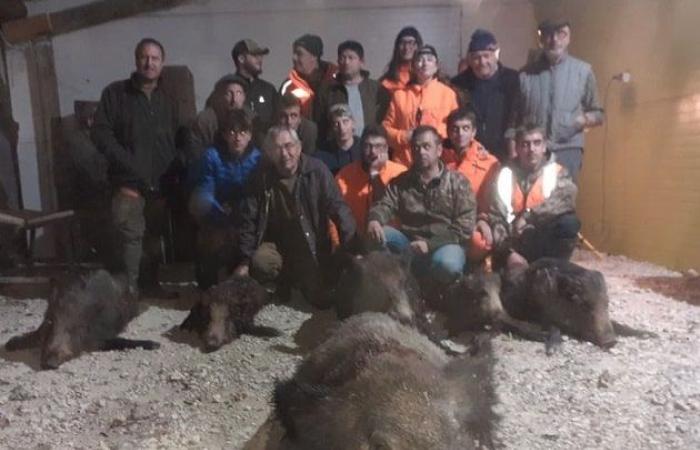 Charente-Maritime: los cazadores que mataron un jabalí récord de 205 kg nos cuentan su historia