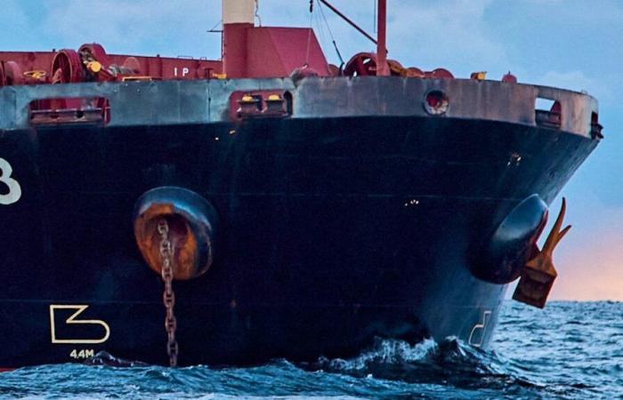 Rotura de cable: un barco chino en el centro de sospechas